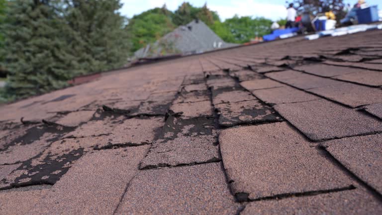 Best Roofing for New Construction  in Folkston, GA