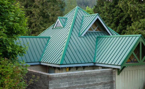 Best Roof Ventilation Installation  in Folkston, GA