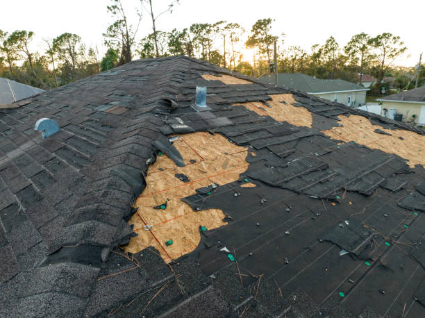 Best Roof Maintenance and Cleaning  in Folkston, GA
