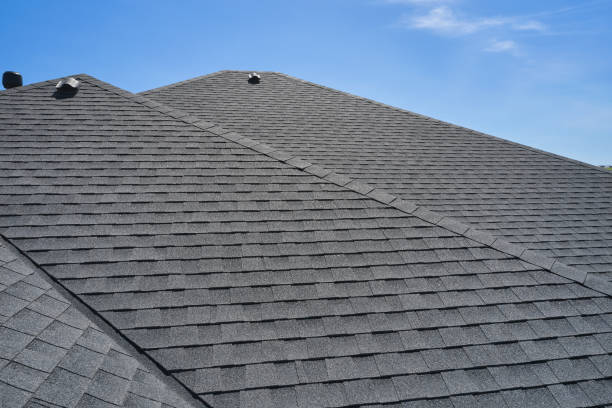 Best Skylights  in Folkston, GA